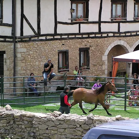 Neithea * Boveda (Alava)