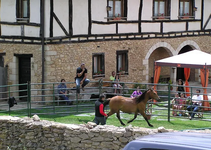 Neithea * Boveda (Alava)